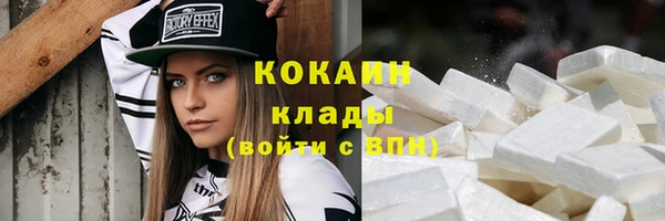 твердый Краснослободск