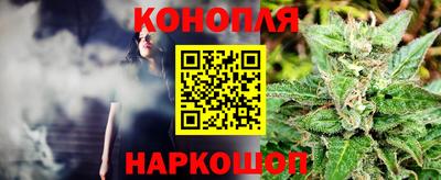 сатива Бийск