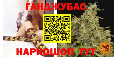 сатива Бийск