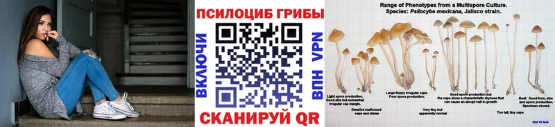 Галлюциногенные грибы Magic Shrooms  сколько стоит  Донецк 