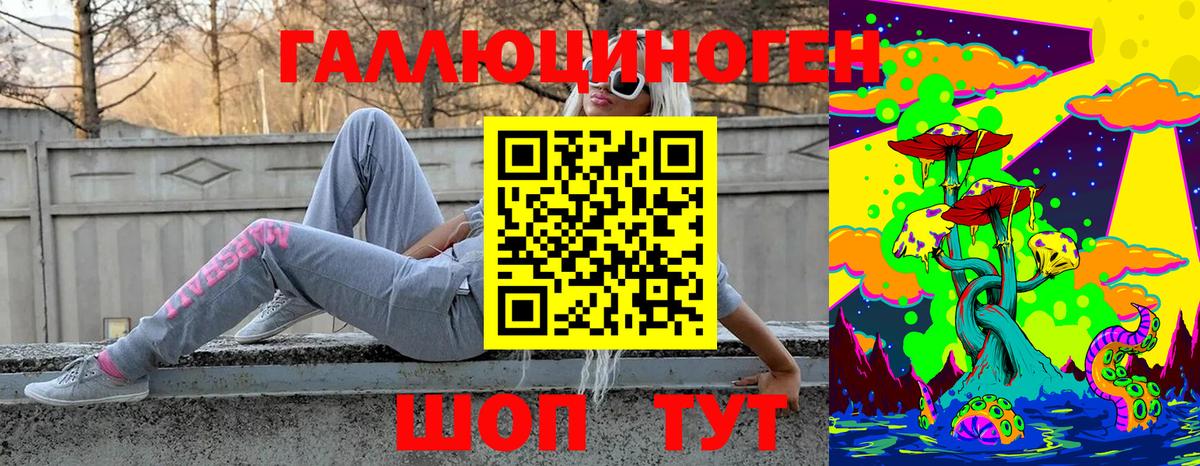 Галлюциногенные грибы Psilocybine cubensis  Донецк 